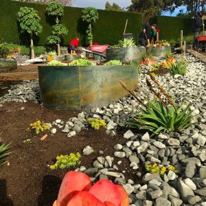 Garden Edging - Circular - Steelscape