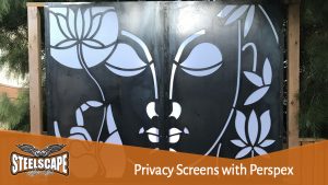 Steelscape Privacy Screens with perspex