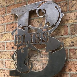 Steelscape metal family name bliss